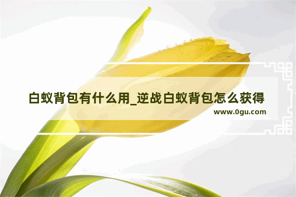 白蚁背包有什么用_逆战白蚁背包怎么获得 逆战白蚁背包有什么用