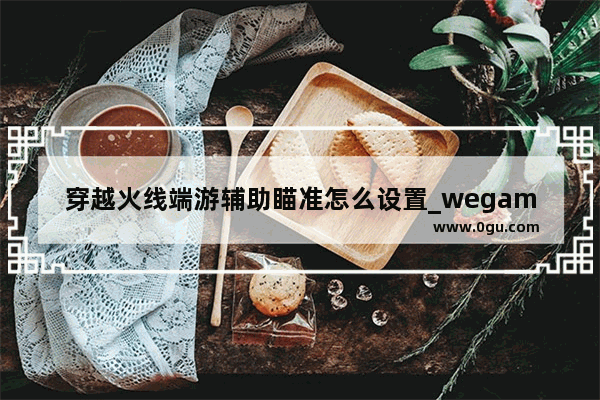 穿越火线端游辅助瞄准怎么设置_wegamecf辅助狙击准星怎么开