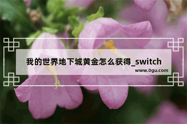 我的世界地下城黄金怎么获得_switch我的世界地下城怎么获得高级装备