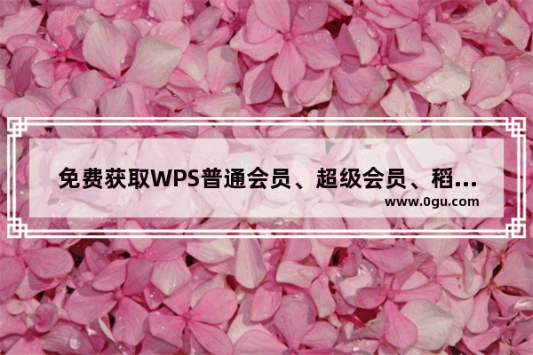 免费获取WPS普通会员、超级会员、稻壳会员 穿越火线免费会员