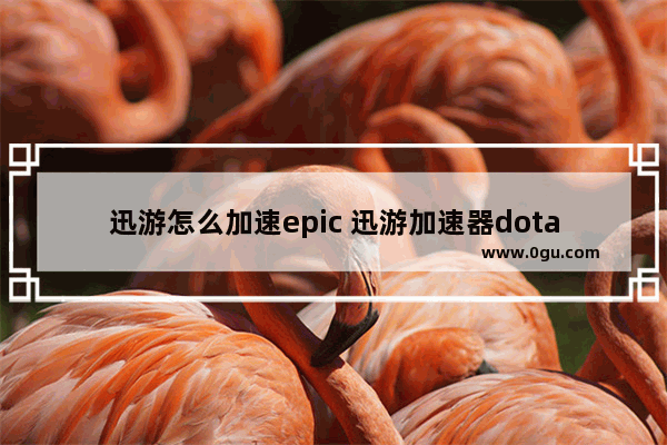 迅游怎么加速epic 迅游加速器dota2