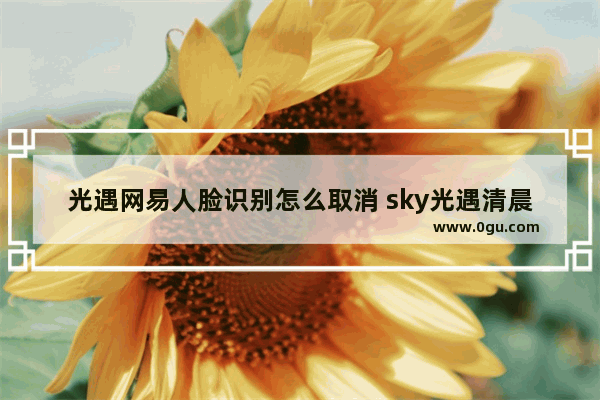 光遇网易人脸识别怎么取消 sky光遇清晨