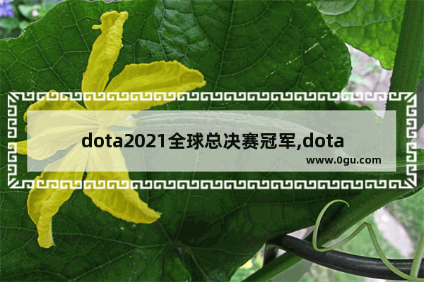 dota2021全球总决赛冠军,dota2黑马