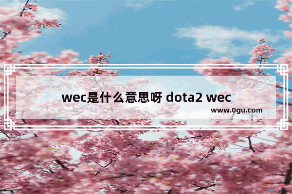 wec是什么意思呀 dota2 wec