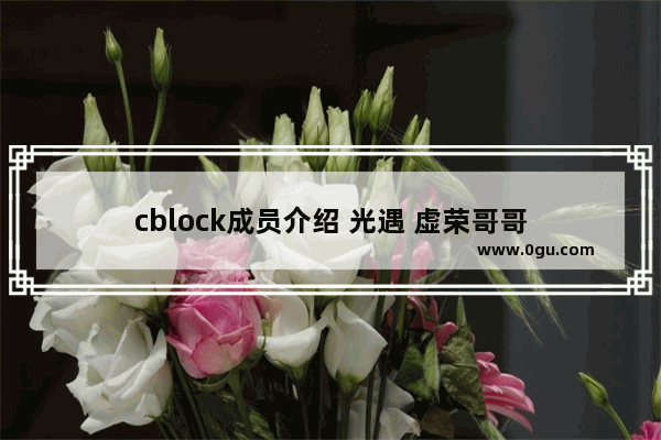 cblock成员介绍 光遇 虚荣哥哥