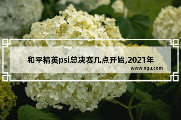 和平精英psi总决赛几点开始,2021年和平精英赛事