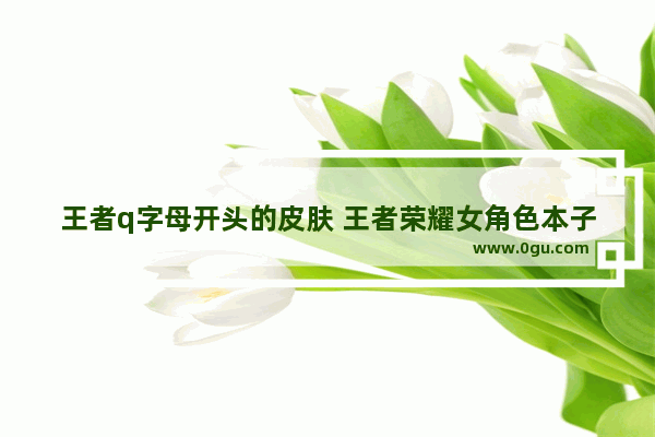 王者q字母开头的皮肤 王者荣耀女角色本子