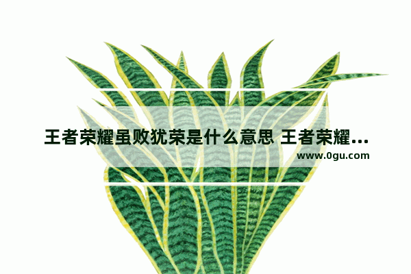 王者荣耀虽败犹荣是什么意思 王者荣耀虽败犹荣