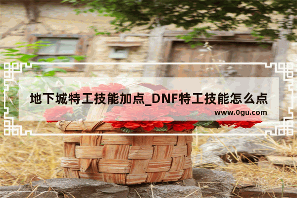 地下城特工技能加点_DNF特工技能怎么点DNF特工技能加点一览