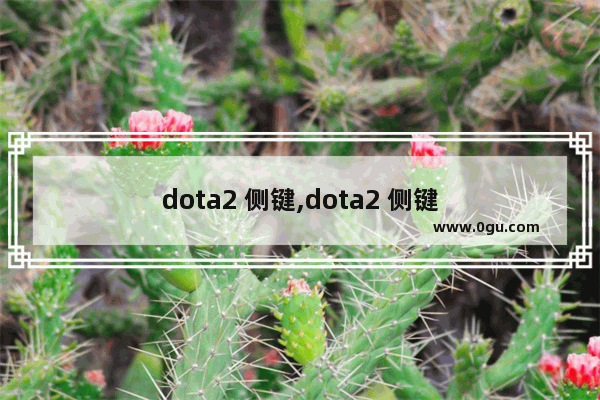 dota2 侧键,dota2 侧键