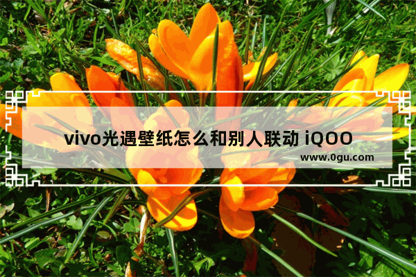 vivo光遇壁纸怎么和别人联动 iQOO光遇互动