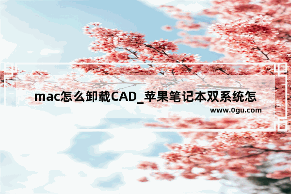 mac怎么卸载CAD_苹果笔记本双系统怎么删除mac系统