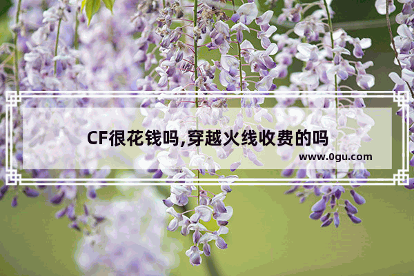 CF很花钱吗,穿越火线收费的吗