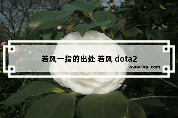 若风一指的出处 若风 dota2