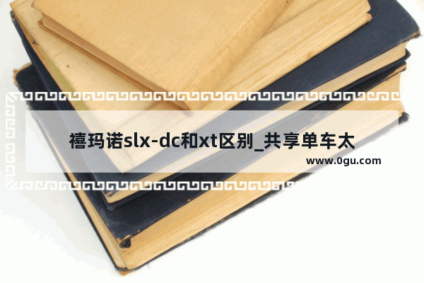 禧玛诺slx-dc和xt区别_共享单车太阳能板dc接口是多大的