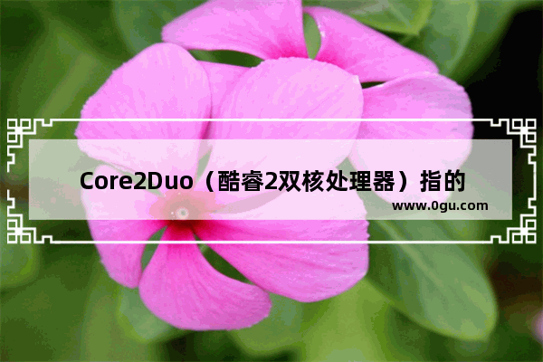 Core2Duo（酷睿2双核处理器）指的是什么呢,dota2双核