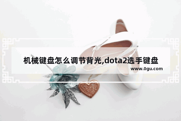 机械键盘怎么调节背光,dota2选手键盘