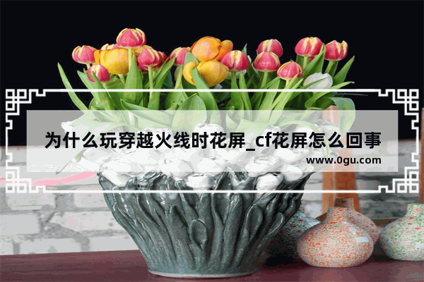 为什么玩穿越火线时花屏_cf花屏怎么回事