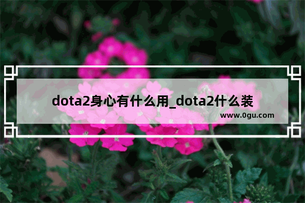 dota2身心有什么用_dota2什么装备打闪避