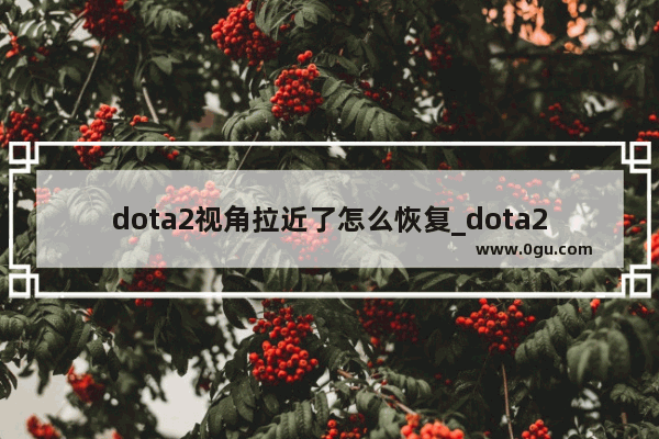 dota2视角拉近了怎么恢复_dota2怎么查看战绩