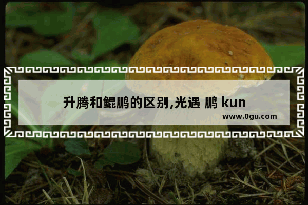 升腾和鲲鹏的区别,光遇 鹏 kun