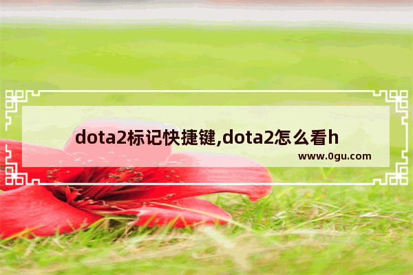 dota2标记快捷键,dota2怎么看h