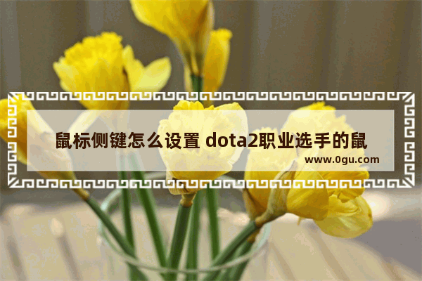 鼠标侧键怎么设置 dota2职业选手的鼠标