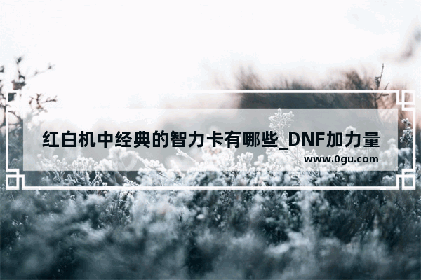 红白机中经典的智力卡有哪些_DNF加力量和加智力的卡片（宝珠）都有哪些！请详细说明