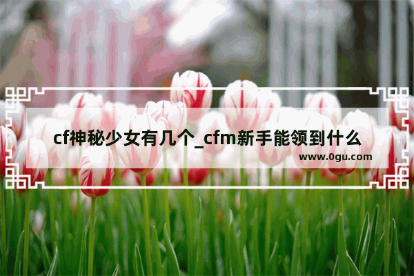 cf神秘少女有几个_cfm新手能领到什么奖励