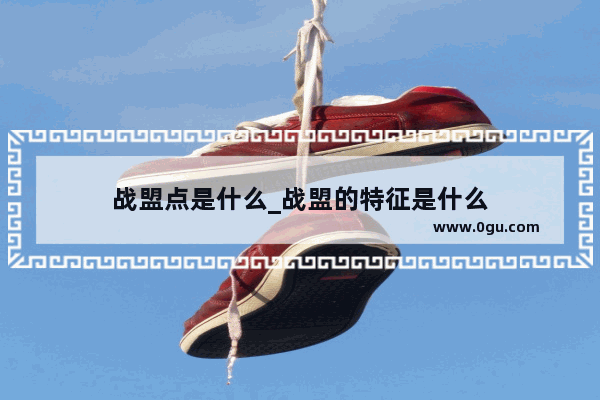 战盟点是什么_战盟的特征是什么