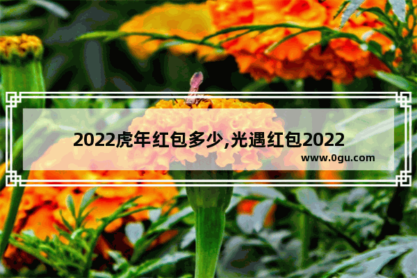 2022虎年红包多少,光遇红包2022