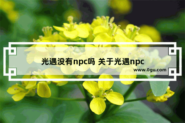 光遇没有npc吗 关于光遇npc