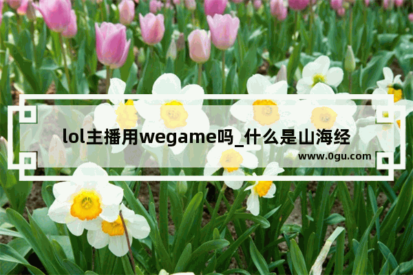 lol主播用wegame吗_什么是山海经十维动物