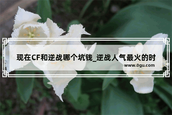 现在CF和逆战哪个坑钱_逆战人气最火的时候一年转多少钱