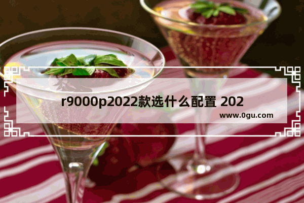 r9000p2022款选什么配置 2022光遇配置