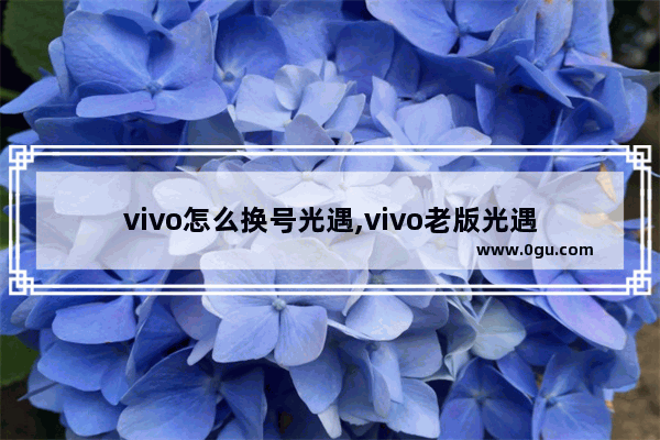 vivo怎么换号光遇,vivo老版光遇