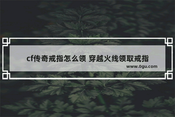 cf传奇戒指怎么领 穿越火线领取戒指