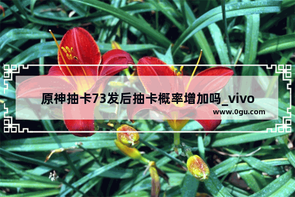 原神抽卡73发后抽卡概率增加吗_vivoy73s可以玩原神吗