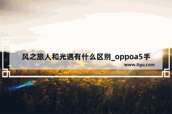 风之旅人和光遇有什么区别_oppoa5手机光遇为什么不能拷贝链接