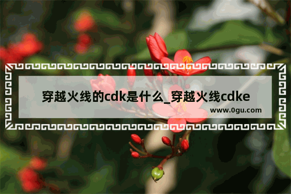 穿越火线的cdk是什么_穿越火线cdkey的格式