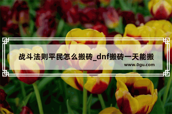 战斗法则平民怎么搬砖_dnf搬砖一天能搬多少金币