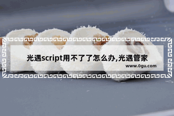 光遇script用不了了怎么办,光遇管家角色