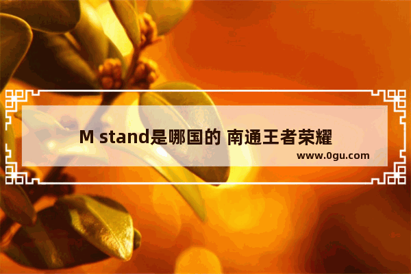 M stand是哪国的 南通王者荣耀