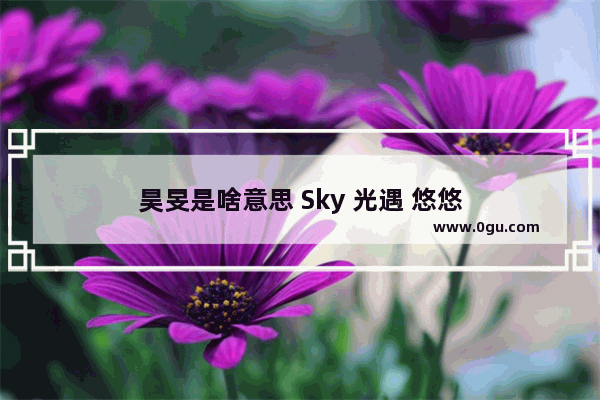 昊旻是啥意思 Sky 光遇 悠悠