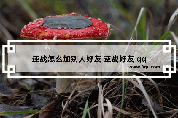 逆战怎么加别人好友 逆战好友 qq