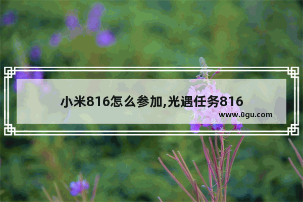 小米816怎么参加,光遇任务816