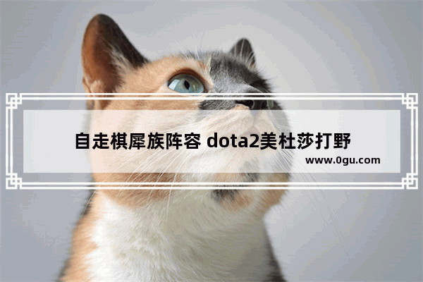 自走棋犀族阵容 dota2美杜莎打野