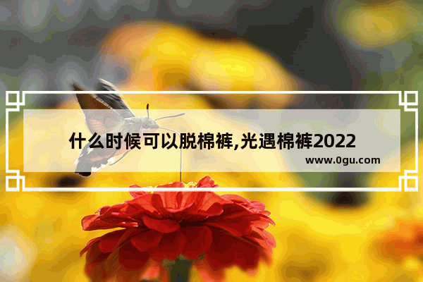 什么时候可以脱棉裤,光遇棉裤2022