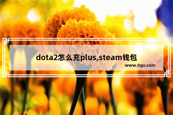 dota2怎么充plus,steam钱包 dota2