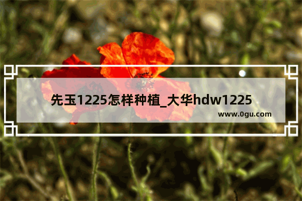 先玉1225怎样种植_大华hdw1225c设置方法